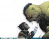 Hulk vs Wolverine